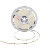Tira de LED Personalizable de 120 LED/M, 5mm, DC 12V/24V, 2835