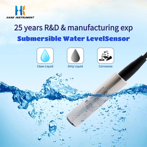 高精度0.25% FS水中レベルトランスミッター 316Lステンレス鋼 4-20mA出力 IP68静水圧液体レベルセンサー - Product Image 1