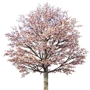 540厘米高度景观装饰高品质人造粉色玉兰花树玉兰盆景人造树出售