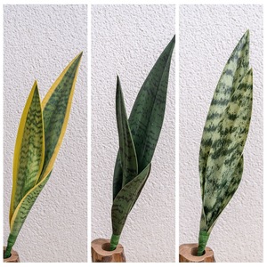 Trifasciata Mini serpiente planta interior bonsái Artificial Faux <span class=keywords><strong>Sansevieria</strong></span> perfecta Navidad o graduación decoración del hogar - Product Image 6
