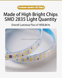 Double Row LED Strip Light Bar Flexible SMD2835 Chip 180leds/m IP67 Waterproof Outdoor Underwater <b>RGB</b> Change Color Neon Lamp - Product Image 4
