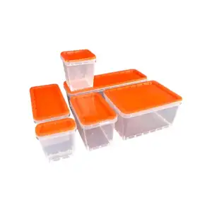 Industry Seller Small Small Plastic Storage Box Recyclable Clear Plastic Box For Packaging