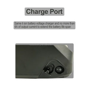 Batteria Anteriore DOHENY ENZO Trivel Combi CARGO 48V 14Ah, Batteria 10.4Ah per Bici Elettrica da Carico EASY-HAUL, Telaio E-Drive P-01 Li 48V - Product Image 5