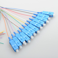 Factory Direct Price 12-Core 0.9mm SC/UPC/APC Single Mode Fibre Bundle Pigtail 1M Available Fibre Optic Patch Cord