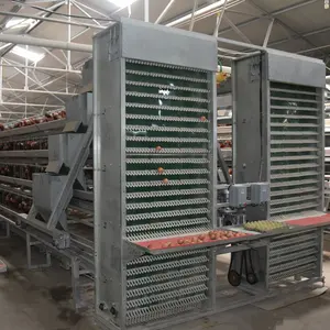 Zambia lusaka layer chicken farm poultry equipment battery cages laying hens