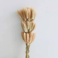 Ins热卖干兔/兔子尾草装饰/家居/婚礼插花INS