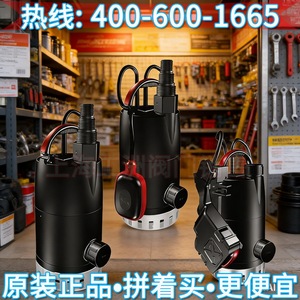 ปั๊มหอยโข่ง PPB ขนาด 50 มม. แบบ 3 เฟส มอเตอร์ไฟฟ้า 1 ใบพัด แบบตั้งด้านข้าง - Product Image 5