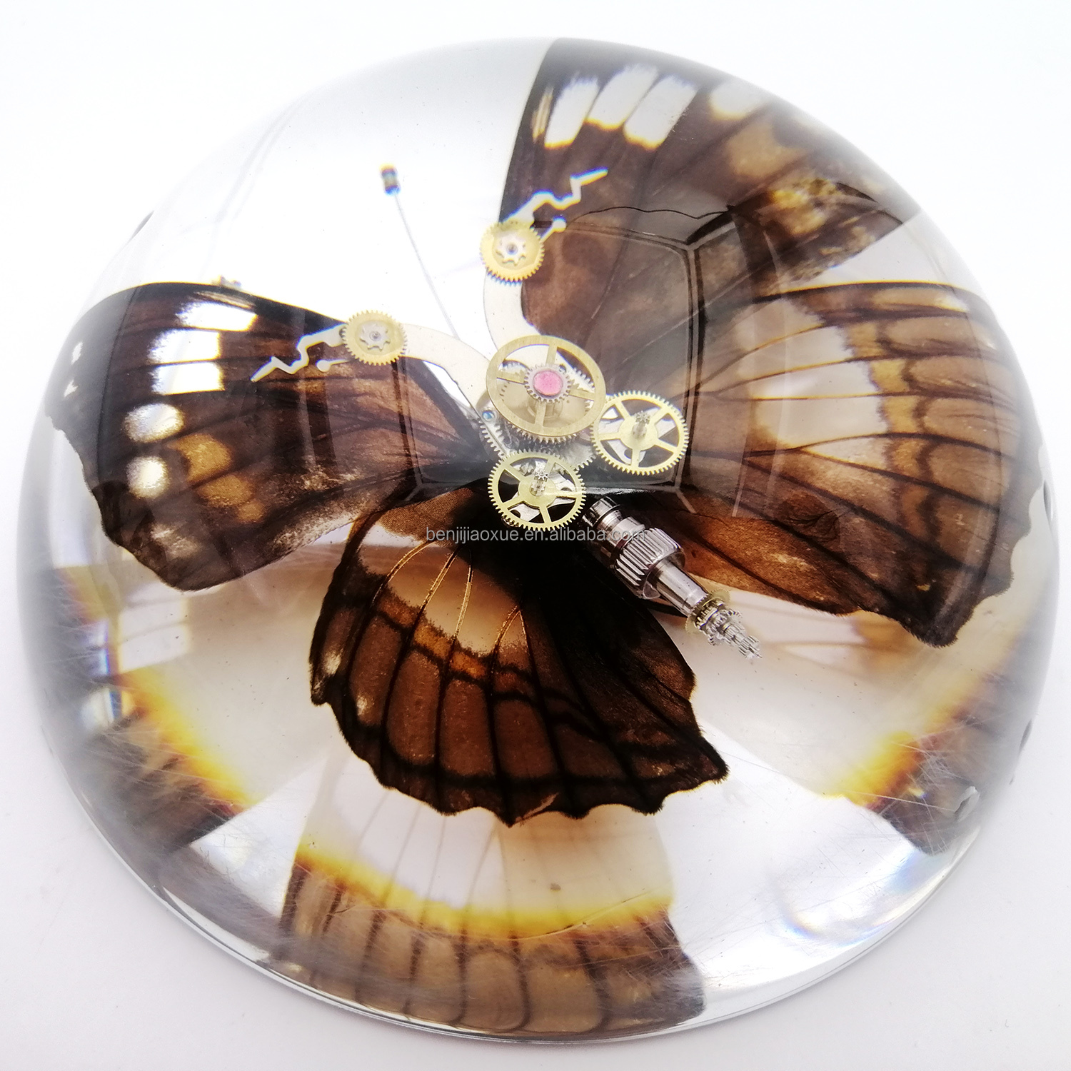 Особый подарок, биологические насекомые, образцы, красивые таксидермические бабочки, стимпанк, насекомые, смола, ремесло