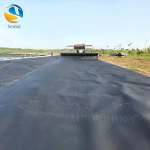 Géomembrane HDPE moderne pour revêtement de barrage – <span class=keywords><strong>Prix</strong></span> au mètre carré, directement de l'usine pour bassins et décharges – Meilleure offre en gros - Product Image 6