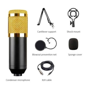 Microphone à condensateur professionnel BM800 avec bras articulé, support antichoc et filtre anti-pop - Product Image 2