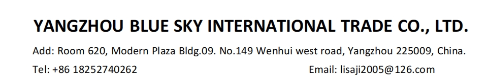 Yangzhou Blue Sky International Trade Co., Ltd. logo
