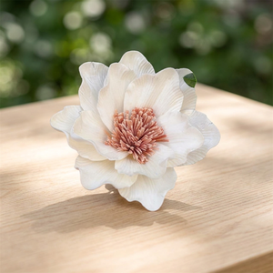 Best Selling 16 CM Artificial Sola Wood Flowers Home Decorative Wholesale <b>Reed</b> <b>Diffuser</b> for Weddings Valentines' Day-Inspired - Product Image 2