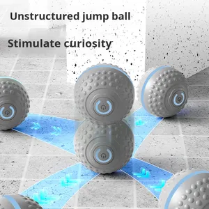 Palla Giocattolo Elettrica Intelligente Moderna per Cani, con Funzione di Pulizia dei Denti, Ricaricabile, in Silicone - Product Image 4