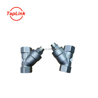 Katup Periksa Manual Tipe Y Berulir Baja Tahan Karat SS304/SS316 PN16 dengan Saringan Logam Air Female untuk Suhu Normal