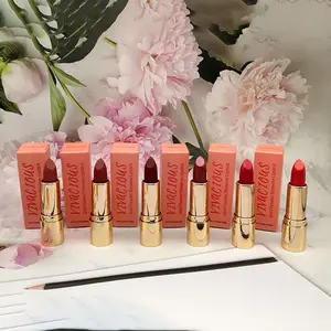 Kualitas Tinggi Grosir Lipstik Moq Rendah Membuat Logo Anda Sendiri Nude Vegan Matte Satin Lipstik Metalik