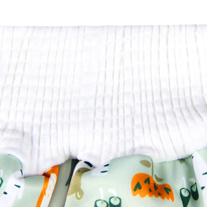 Famichier新款儿童婴儿尿布棉可洗可重复使用裙2合1 - Product Image 4