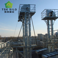 Elevatore a Benna Verticale Motorizzato ad Alta Efficienza con Telaio in Acciaio Zincato, Capacità 5T-150T/H per Silos di Mangimi per Bestiame
