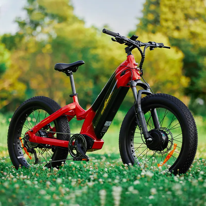 SOBOWO 24inch fat tire ebike step over new arrival electric bicycle 48v 750w double motor bafang powerful off road electric bike