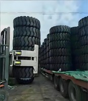 Nuevo Abrazadera para Neumáticos de Montacargas Anticorrosión con Revestimiento Reforzado, Resistente a la Salinidad, para Patios Costeros y Terminales de Exportación, Hecho en China, 1 Año de Garantía
