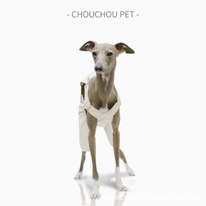 Overol con Tirantes Delgado de Primavera para Galgo Italiano, Ajustable, para Bellingham, Dachshund, Whippet, Wirehaired Hound, Estilo Adorable, Todas las Estaciones - Product Image 4