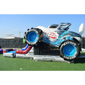 Castillo Inflable Comercial Mad Dog con Tobogán Acuático/Seco y Piscina Desmontable - Product Image 1