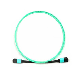 <span class=keywords><strong>Mpo</strong></span> 12 Lõi Chéo MM OM3 OM4 50/125 LSZH Cáp Quang <span class=keywords><strong>MPO</strong></span>/<span class=keywords><strong>MTP</strong></span> Loại B Giảm Tổn Thất Thấp 3.0M - Product Image 3