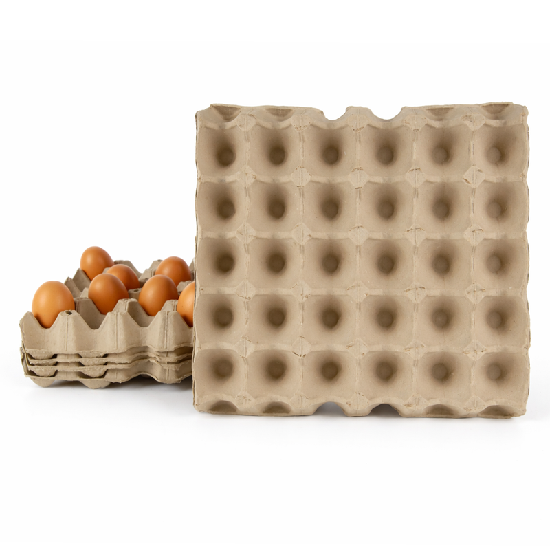 Disposable Plastic Quail Egg Tray PET
