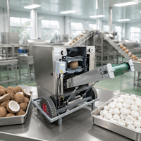 Machine à décortiquer la noix de coco, décortiqueuse électrique de noix de coco, éplucheuse de noix de coco à peau brune