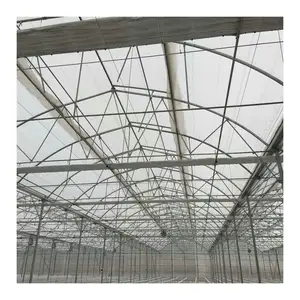 smart control polycarbonate sheet greenhouse galvanized steel frame structure for sale