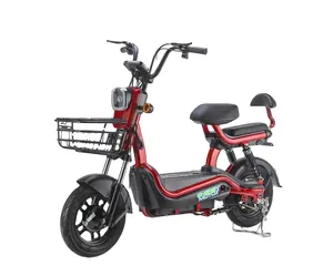 Giá thấp hai chỗ ngồi xe điện 48V 12A bicicletas 350W Xe đạp điện để bán