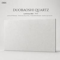 Série Linéaire Blanche Certifiée CE, Grande Dalle de Quartz Moderne DBS Duobaoshi, Garantie 5 Ans, pour Sol, Plateau de Table, Plateau de Lavabo, Mur, Intérieur