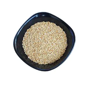 Attractive Price New Type Pastry Ingredients White Sesame Pure Natural White Sesame Seeds