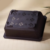 Pot d'entraînement rectangulaire classique en plastique de bonsaï de 50cm/19.68 pouces pour bonsaï d'arbre