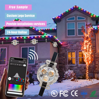 Lampu Natal LED Pixel Outdoor yang Dapat Diatur UCS2904 WS2811 Kontrol Aplikasi Logo Kustom