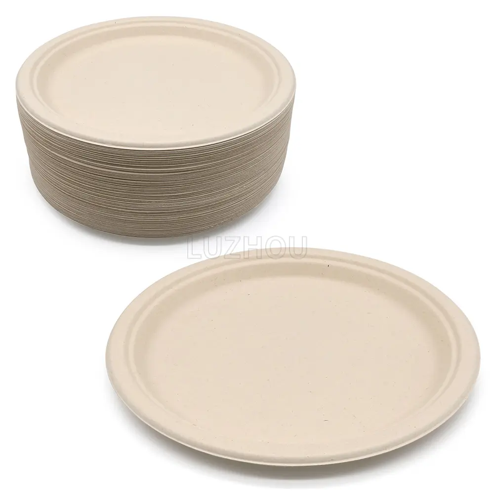 LuzhouPack Food Grade Natural Sugarcane Pulp Unbleached 10" Hotel Paper Round Disposable Pizza Plate Dinnerware