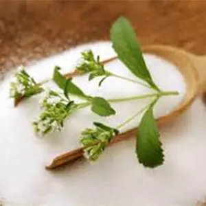 Estratto di stevia produttore zucchero di stevia biologico prezzo