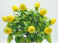 Pohon Lemon Buatan Realistis Ramah Lingkungan Tanaman Pot Buatan Tangan untuk Dekorasi Meja Dalam Ruangan dan Taman Luar Ruangan.