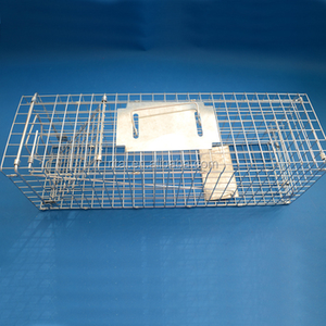 Jaula de trampa de animales de puerta grande para atrapar mapamundi, gatos callejeros, groundhogs, <span class=keywords><strong>opossums</strong></span>, armadillos - Product Image 5