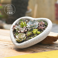 Pots de plantes succulentes en ciment en forme de cœur pour la décoration intérieure, pots de plantes d'intérieur pour la maison et le jardin