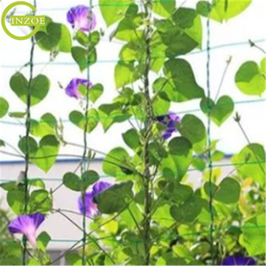 Top nhựa nông nghiệp trellis hỗ trợ thực vật <span class=keywords><strong>Net</strong></span> - Product Image 5