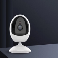 Kamera WIFI ICSee untuk Rumah Pintar, Pengawasan Video Dalam Ruangan, Keamanan Nirkabel, Ukuran Kecil, Kamera CCTV Portabel
