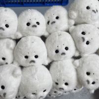 Porte-clés en peluche phoque mignon, boule moelleuse, poupée rembourrée en coton PP doux, animal marin, breloque de sac, jouet en peluche pour machine à griffes