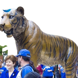 Statue de tigre rugissant en bronze, grande, élégante, d'inspiration animalière, en pose d'attaque, pour entrée d'entreprise et espace extérieur, personnalisée - Product Image 6