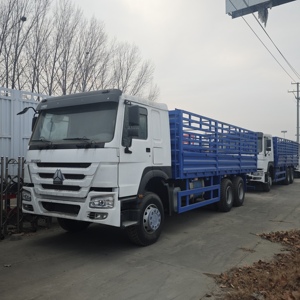 Camion à plateau robuste Howo 6x4 avec moteur à grande puissance et large compatibilité de carburant pour le transport de marchandises agricoles et de bétail en Afrique - Product Image 4