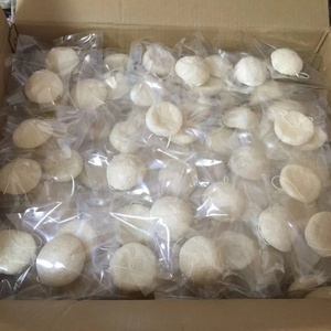 Bán buôn 100% tự nhiên <span class=keywords><strong>Konjac</strong></span> miếng bọt biển cho khuôn mặt làm sạch tam giác và mô hình vuông trong Hộp bao bì - Product Image 5