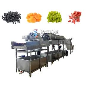 Raisin Washing Drying Machine/dried Fruit Cleaning Machine/dried Plum Washing Drying Machine