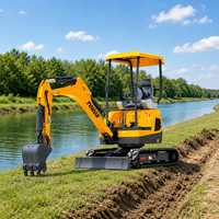 Mini-excavatrice compacte de 2 tonnes, petite pelle sur chenilles pour l'aménagement paysager, l'agriculture et les projets résidentiels