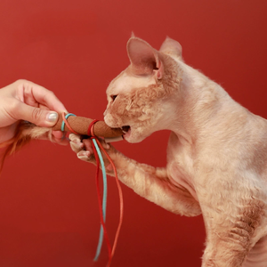 AFP Dream Catcher Series relleno con cinta de plumas de hierba gatera juguetes para gatos varita interactiva para gatos para golpear y batear mascotas - Product Image 4