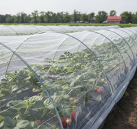 Filet anti-insectes stabilisé aux UV, filet anti-insectes agricole à mailles fines pour serre et légumes