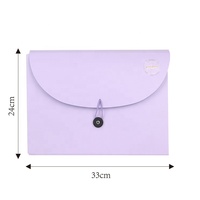Venta al por mayor de plástico carpeta decorativa de documento carpeta A4 lindo carpetas